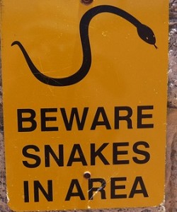 Be careful sign with image of snake