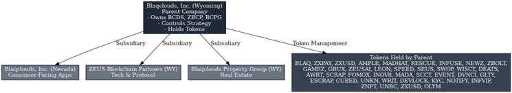 imagen Blaqclouds, Inc. Announces Corporate Ecosystem Structure Highlighting Strategic Roles of Blaqclouds Wyoming, Blaqclouds Nevada, ZEUS Blockchain Partners, and Blaqclouds Property Group
