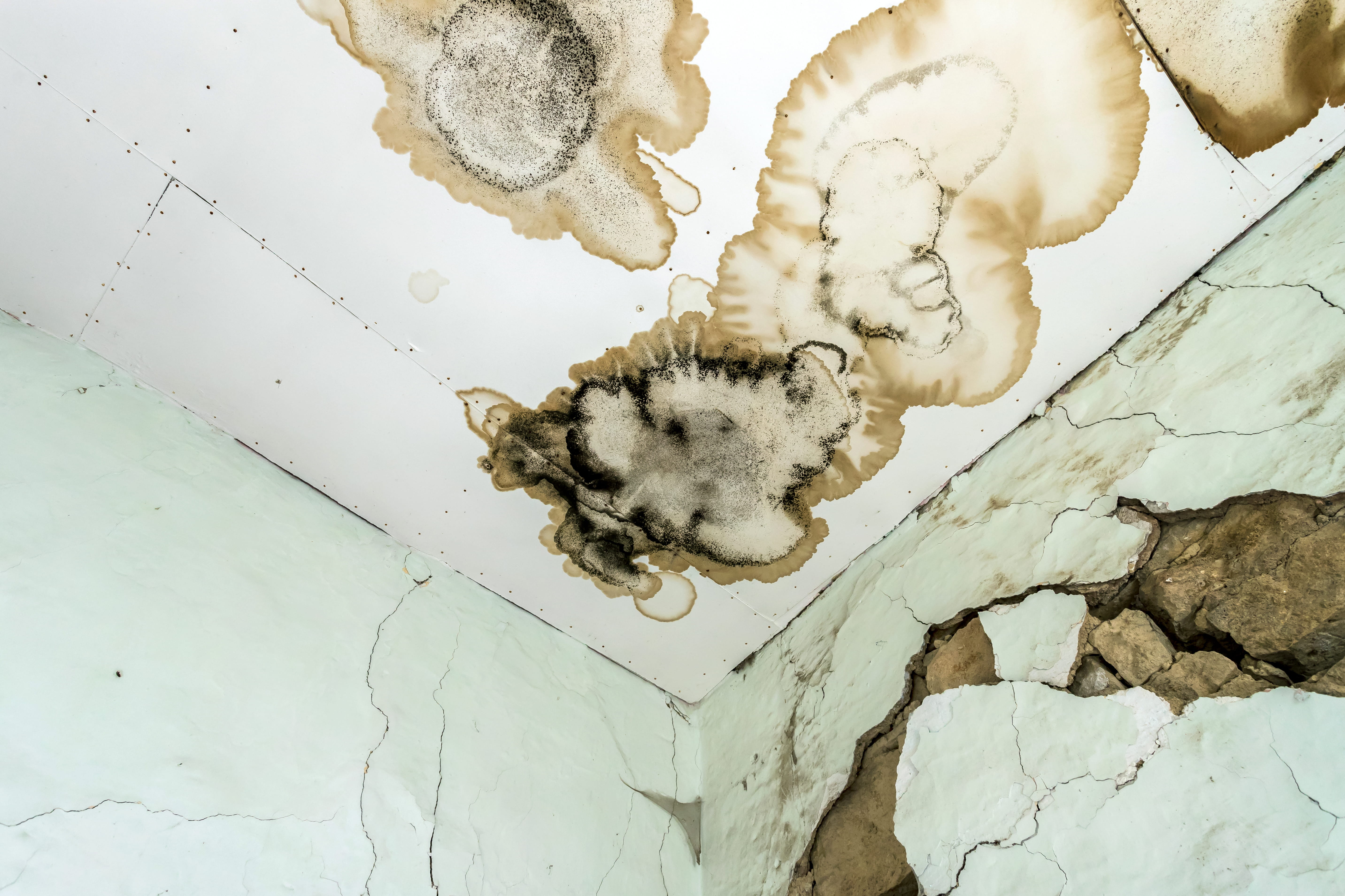 damaged-ceiling-and-walls-with-water-stains-2026-09-23-01-22-38-utc-28129 Brooklyn's Go-To Public Adjuster, Republic Claims Associates, Expands Its National Reach